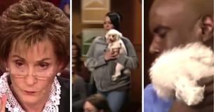Pour identifier le véritable maître, la Juge Judy demande de laisser le chien en liberté dans la salle d'audience pour qu'il puisse faire son propre choix.