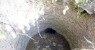 Man Hears Sound Coming From Well — And Discovers Someone Who Needs His Help