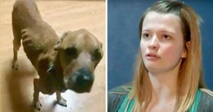 Misbruikte hond loopt weg bij wrede & verwaarlozende eigenaar en gaat naar de enige vrouw die hem ooit vriendelijk heeft behandeld