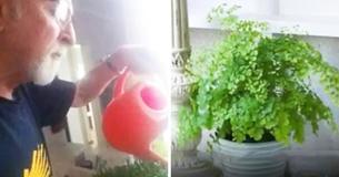 Vrouw verzocht man om de planten water te blijven geven. Jaren later komt hij erachter waarom