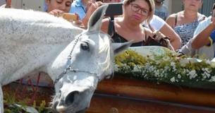 Un cheval en deuil renifle le cercueil de son propriétaire à ses funérailles et s'effondre 
