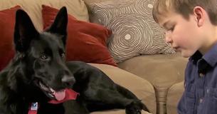 Stranger Drives Dog Across Country After Little Boy Is Diagnosed With Cancer While On Holiday