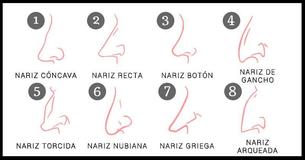¿Sabías que la forma de tu nariz revela algo sobre tu personalidad?