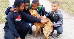 Four Heroic Young Boys Save Neglected, Skinny Dog Who Was Tied Up With Bungee Cords