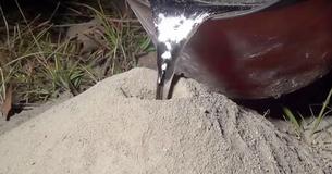 Ein Mann gießt geschmolzenes Aluminium in einen verlassenen Ameisenbau, um zu sehen, wie er von innen aussieht. Was für ein Bild 