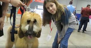 10-Year-Old Boy Documents Every Dog He Pets On The Most Wholesome Page On The Internet