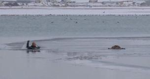 Officer Swims Through Ice Cold Water And Smashes Ice To Save Puppy Trapped On Frozen Lake