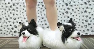 This Company Makes Slippers That Look Identical To Your Dog
