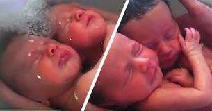 Les adorables jumeaux nouveau-nés ne réalisent pas leur naissance : Un moment réconfortant à voir