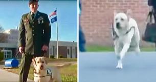 Man bezoekt gevangenis met geleidehond, maar de hond sprint naar een gevangene