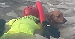 New Footage Shows Chilling Moment Rescuer Glides Across Ice To Save Stuck Golden Retriever