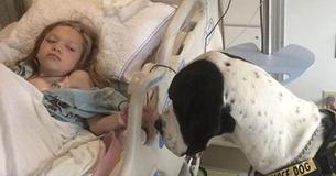 The Amazing Story Of How This Service Dog Helped This Little Child Will Warm Your Heart