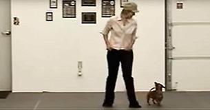 Woman Stands With Tiny Dachshund, When the Music Starts Don't Take Your Eyes Off The Dog