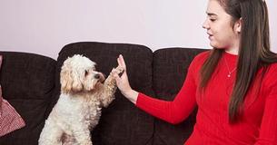 Little Pup Beats Odds And Becomes Full-Time Service Dog For A Woman With Ehlers-Danlos Syndrome