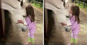 Sweet 5-Year-Old Girl Soothes White Horse in Heartwarming Video