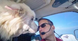 Un chien sans abri sauvé du couloir de la mort est trop excité et veut absolument rester à côté du pilote alors qu'il s'envole vers sa nouvelle maison