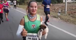 Helferin mit Herz: Marathon-Teilnehmerin rettet ausgesetzten Welpen und trägt ihn 28 Kilometer