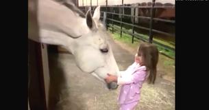 Une petite fille veut calmer un cheval géant et la réponse du cheval envoie sa mère se précipiter pour la caméra