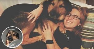 Dad Babysits Daughter’s Dog. His Hysterical Updates Of Him And The Dog Having Fun Go Viral