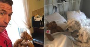 Dad 'Rescues' Dog's Stuffed Bear After It Was Left Outside, Nurses It 'Back to Health' In Hilarious Pics