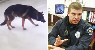 Officers Rescued Scared Dog Who Became Trapped On Thin Ice In Ohio’s Arctic Temps