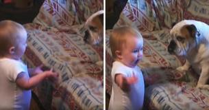Baby Boy Lectures His Bulldog In A Hysterical Video That Can't Help Make You Laugh