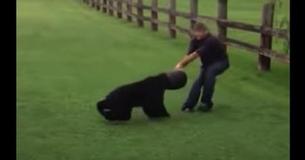 Heroes Save Bear With Bucket Lodged On Its Head