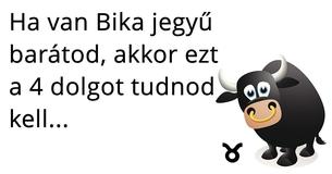A 4 legfontosabb dolog, amit tudnod kell, ha egy Bikával barátkozol
