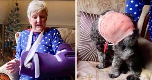 Grand-mère de trois chanceuse de survivre après avoir été attaquée par deux chiens pendant sa promenade