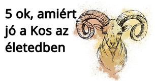 5 ok, amiért kell egy Kos az életedben