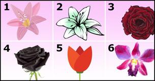 Escolha a mais bela flor e descubra um lindo segredo sobre a sua personalidade 