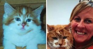 Cat Adopted In 1988 Celebrates 30th Birthday This Year