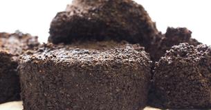 5 Tipps für alten Kaffeesatz 