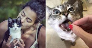 Owners Who Force Cats To Follow Vegan Diet Could Face Criminal Charges