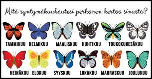 Ota selvää, mitä syntymäkuukautesi perhonen kertoo sinusta