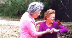 Family Mourning Death Of Mom Who Loved Cardinals Gets Breathtaking Visit From Wild Bird