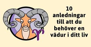 10 anledningar till att väduren är den bästa människan i ditt liv