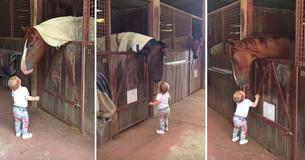 Une petite fille tombe amoureuse des chevaux de son oncle et montre à sa mère son adorable routine matinale