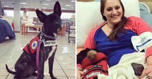 Une femme partage un message important après que des enfants aient frappé son chien d'assistance en magasin