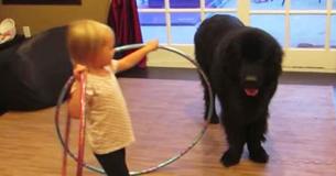 Une petite fille apprend à son chien un nouveau Hula Hoop et son prochain mouvement a étonné tout le monde. 