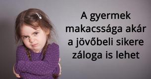 Egy vizsgálat szerint a makacs gyerekek valójában sikeresebbek lesznek majd nagykorukban