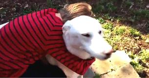 Boy And Dog See Each Other After An Entire Year Apart, Both Start Crying Instantly