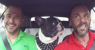 Dog Practices Speaking Different Languages With His Daddy