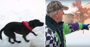 His Dog Behaves Strangely During Vicious Polar Vortex Before Finding Woman, 87, Lying In The Snow