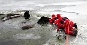 Rescuers Finish Immense Task Of Saving Two Clydesdale Horses Trapped In Frozen Lake