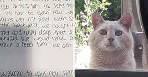Pareja se muda a una casa donde encuentran a un gato callejero con una lista de exigencias, la carta se vuelve viral