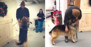 Family Left In Shock When Pup Missing For 8 Months Turns Up 200 Miles Away From Home
