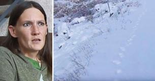 Ein Hund verschwindet nach einem Autounfall. 96 Tage später folgt sein verzweifeltes Frauchen Pfotenabdrücken im Schnee