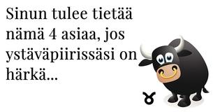 4 tärkeää asiaa, jotka sinun tulisi tietää ystävystyessäsi härän kanssa