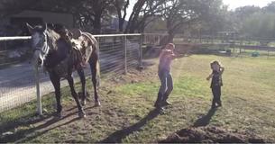 Les jeunes filles commencent à danser sur une chanson pop, mais c'est le cheval qui affole les internautes
